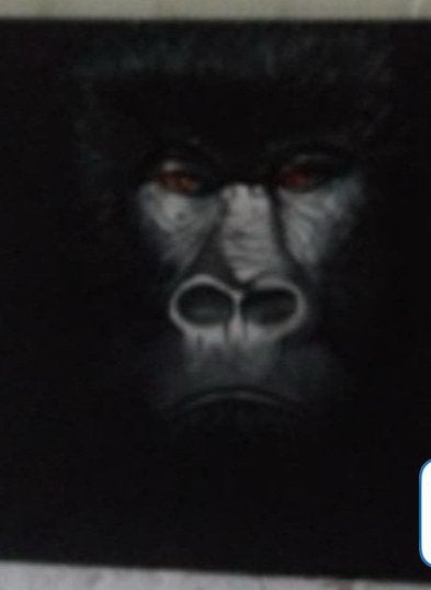 Gorilla, Ophalen of Verzenden