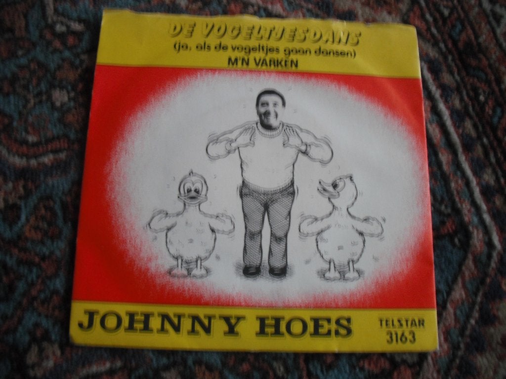 Johnny Hoes - De Vogeltjesdans (k15), Cd's en Dvd's, Ophalen of Verzenden, Zo goed als nieuw, 12 inch, Levenslied of Smartlap