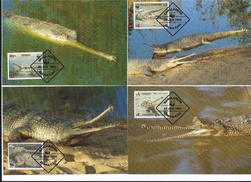 Krokodil reptielen wwf wnf 4 maxikaarten  voor Postcrossing, Ophalen of Verzenden, 1980 tot heden, Ongelopen, Reptiel