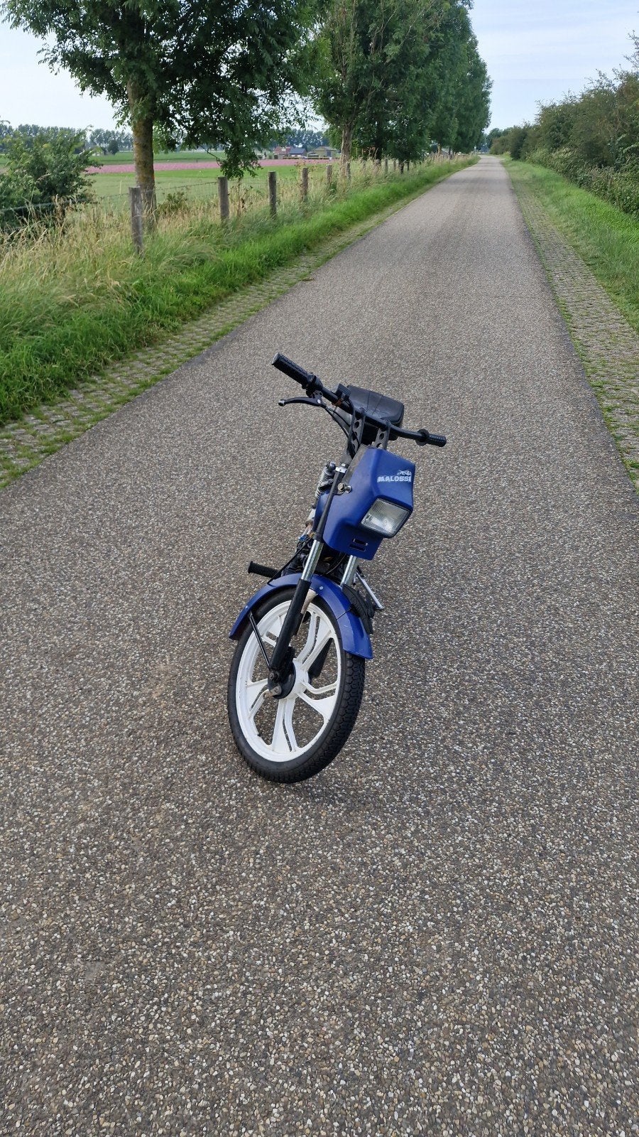 Tomos met blauw kenteken, Fietsen en Brommers, Snorfietsen en Snorscooters, Ophalen, Gebruikt, Benzine, Tomos