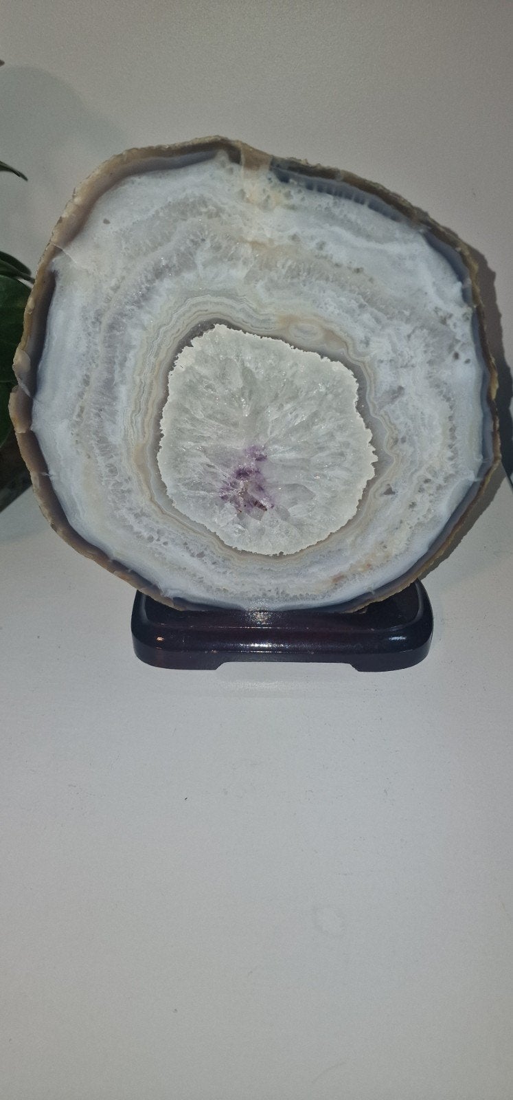 Prachtige Agaat Geode Schijf op Houten Standaard, Ophalen of Verzenden, Mineraal