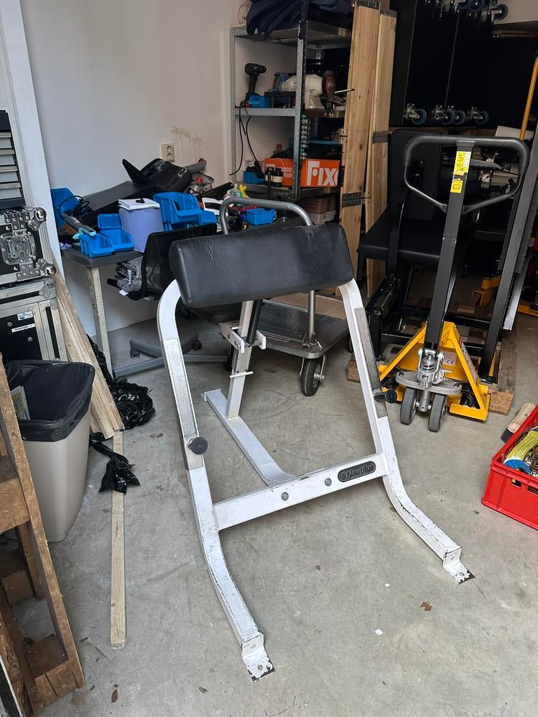 Nautilus Scott bench, Sport en Fitness, Fitnessmaterialen, Ophalen, Zo goed als nieuw, Armen, Fitnessbank