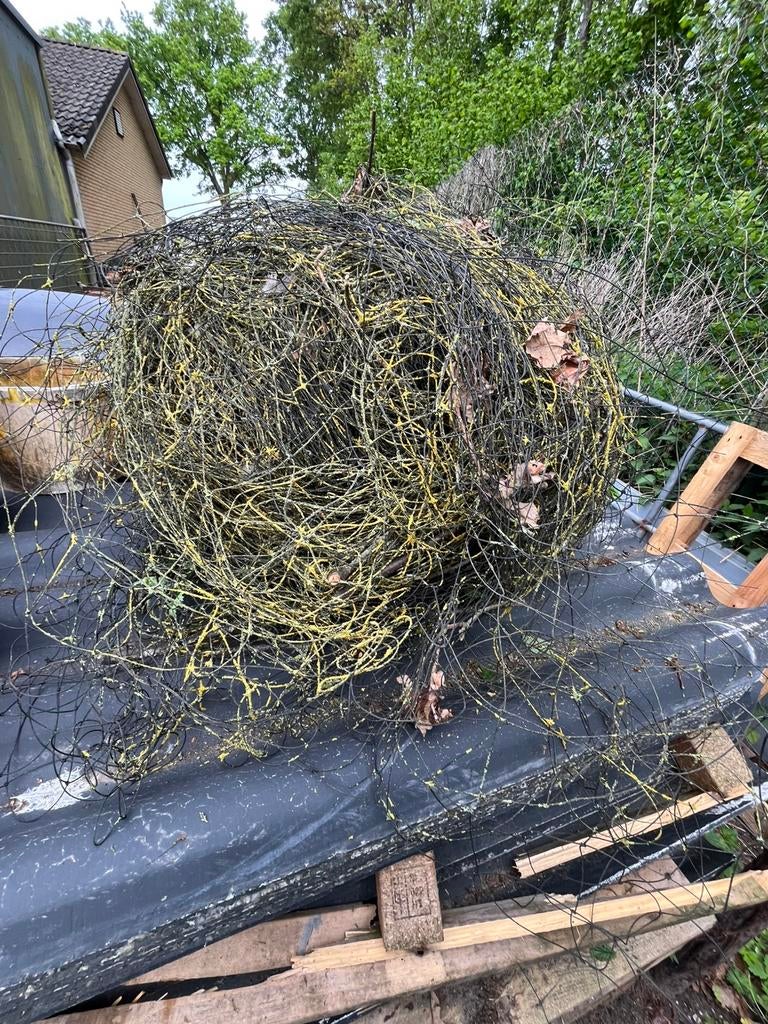 Volière net, Tuin en Terras, Ophalen of Verzenden, Zo goed als nieuw, Minder dan 10 meter