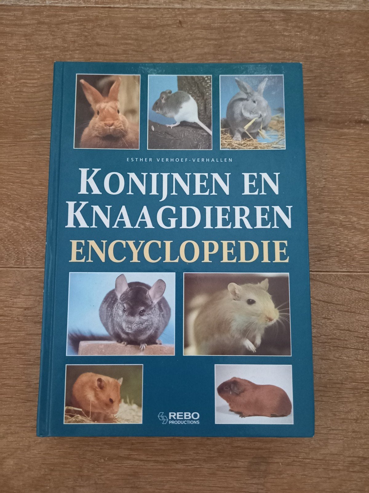 Konijnen en Knaagdieren Encyclopedie - Esther Verhoef, Esther Verhoef-Verhallen, Ophalen of Verzenden, Zo goed als nieuw, Los deel