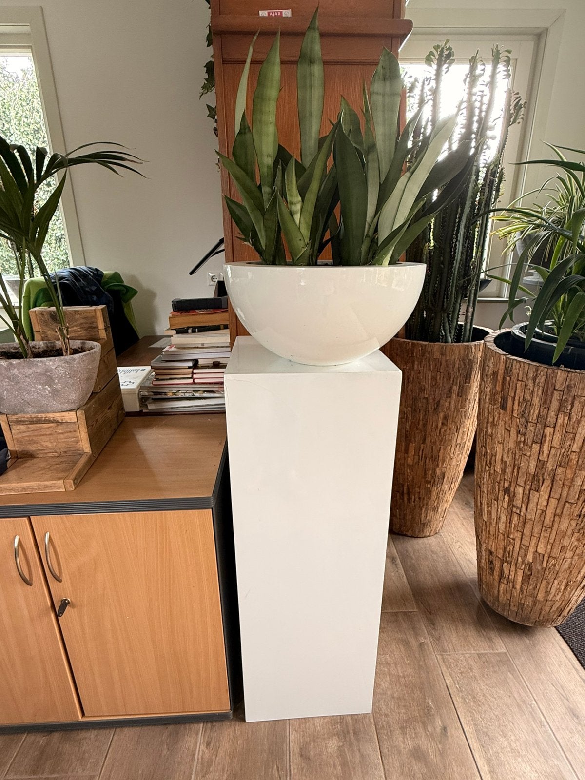 Plantenzuil met sanseveria, Ophalen, Gebruikt, Vierkant, Binnen