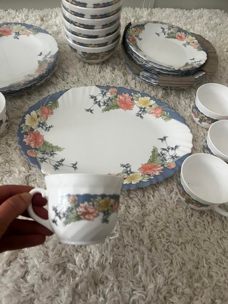 Florine servies van Arcopal 25-delig + 6 koppen, Antiek en Kunst, Ophalen of Verzenden