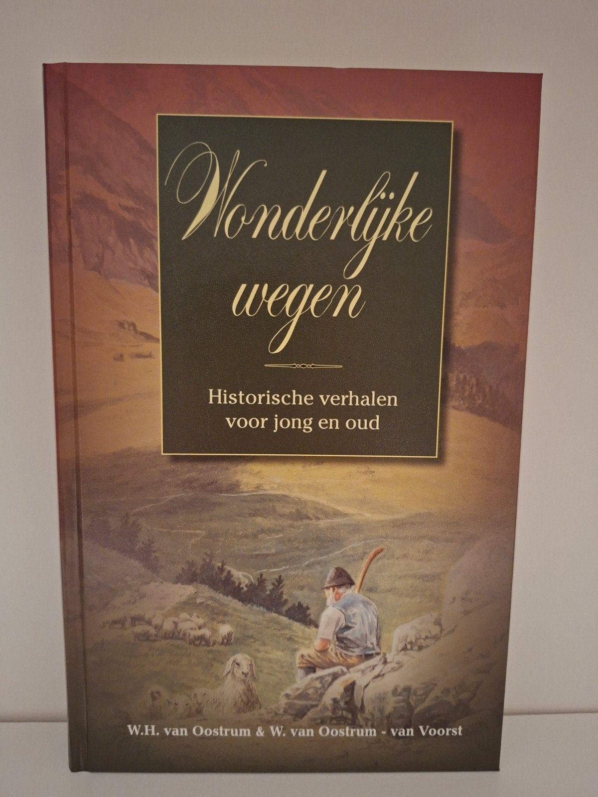W.H. van Oostrum - Wonderlijke wegen, Boeken, Ophalen of Verzenden, Zo goed als nieuw, W.H. van Oostrum
