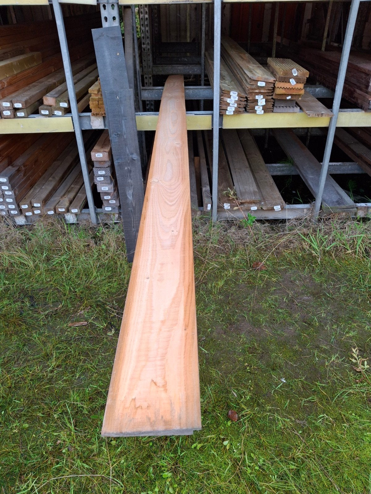 Houten plank - Douglas -  nieuw, Ophalen, Nieuw, 250 cm of meer, Planken