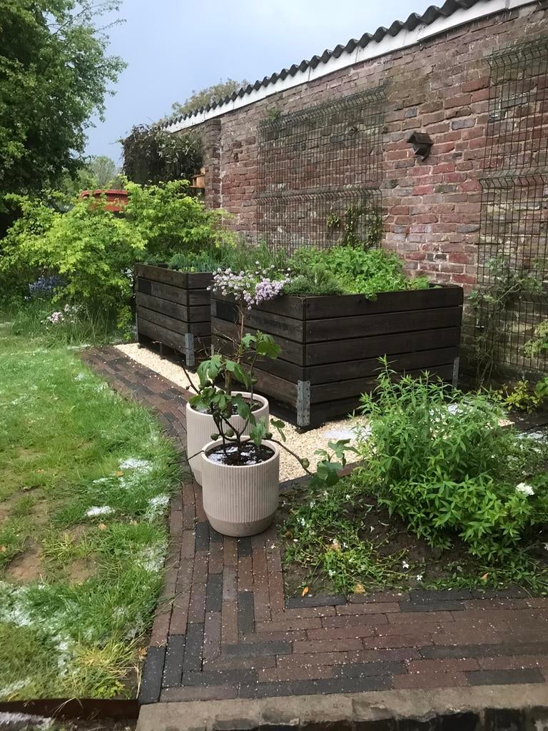 Verhoogde veilingbak.Kweek zelf groenten, kruiden en bloemen, Ophalen, Gebruikt, 100 cm of meer, Vierkant