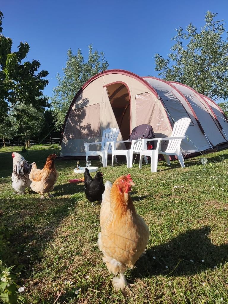 Tent bardani villanova 450, Caravans en Kamperen, Tenten, Ophalen, Gebruikt, Tot en met 6
