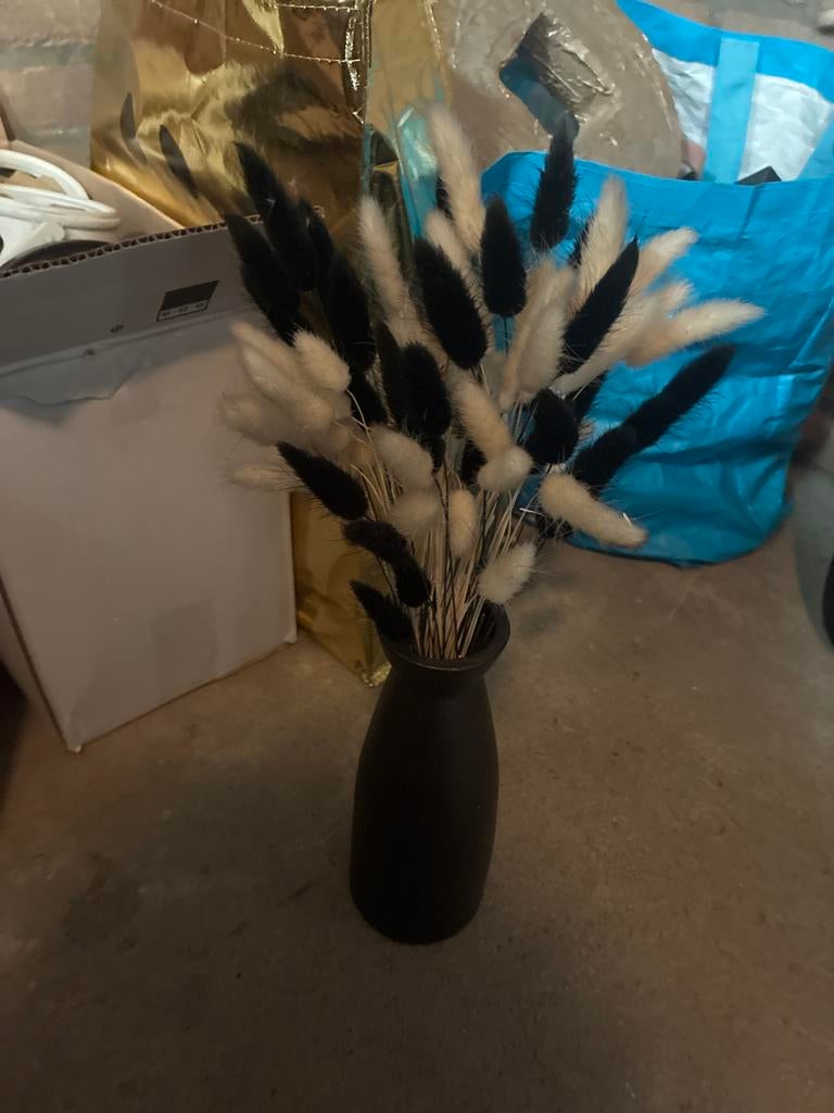 Zwart-wit pluimen boeket in vaas, Ophalen, Binnen, Natuurlijk materiaal, Zo goed als nieuw