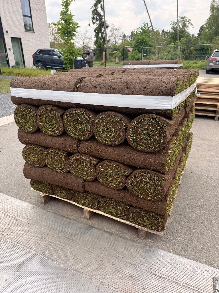Premium graszoden en graszaden, Ophalen of Verzenden, Nieuw, Minder dan 10 m², Gras