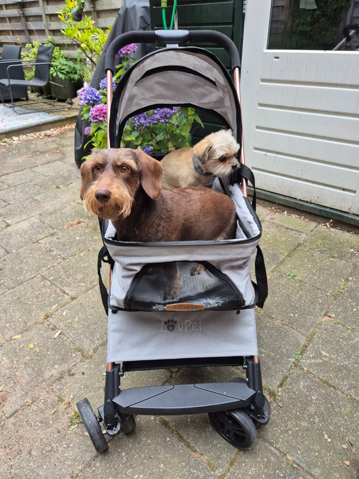 Honden- of katten buggy of transporttas, Ophalen, Zo goed als nieuw