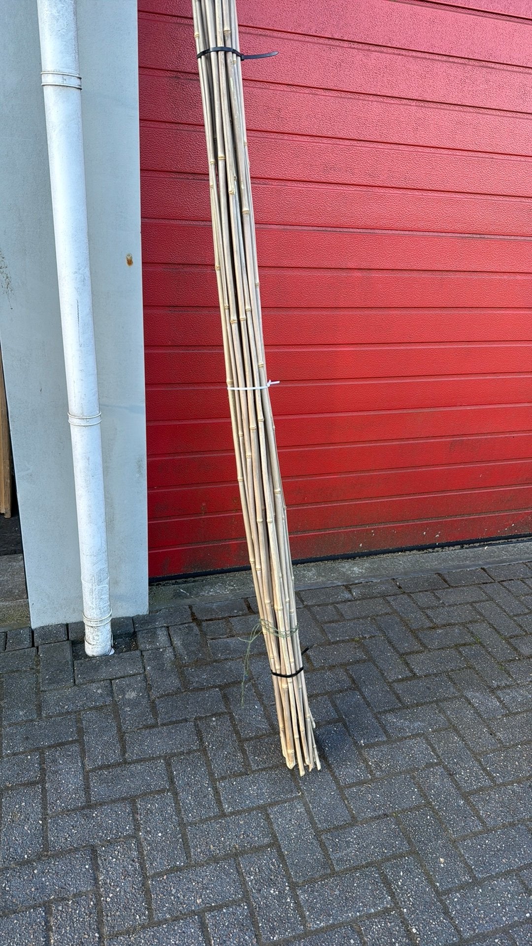 Bamboe stokken 20 stuks 3.5 meter, Ophalen of Verzenden, Zo goed als nieuw, 250 cm of meer, Overige typen