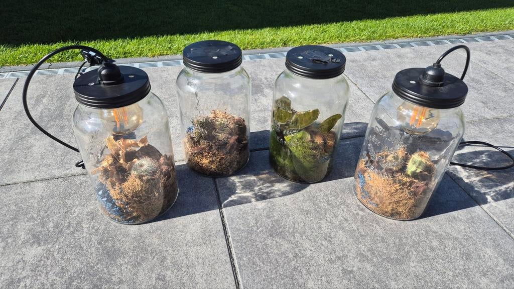 4x Terrarium in glazen pot, Ophalen, Gebruikt, Overige kleuren, Glas