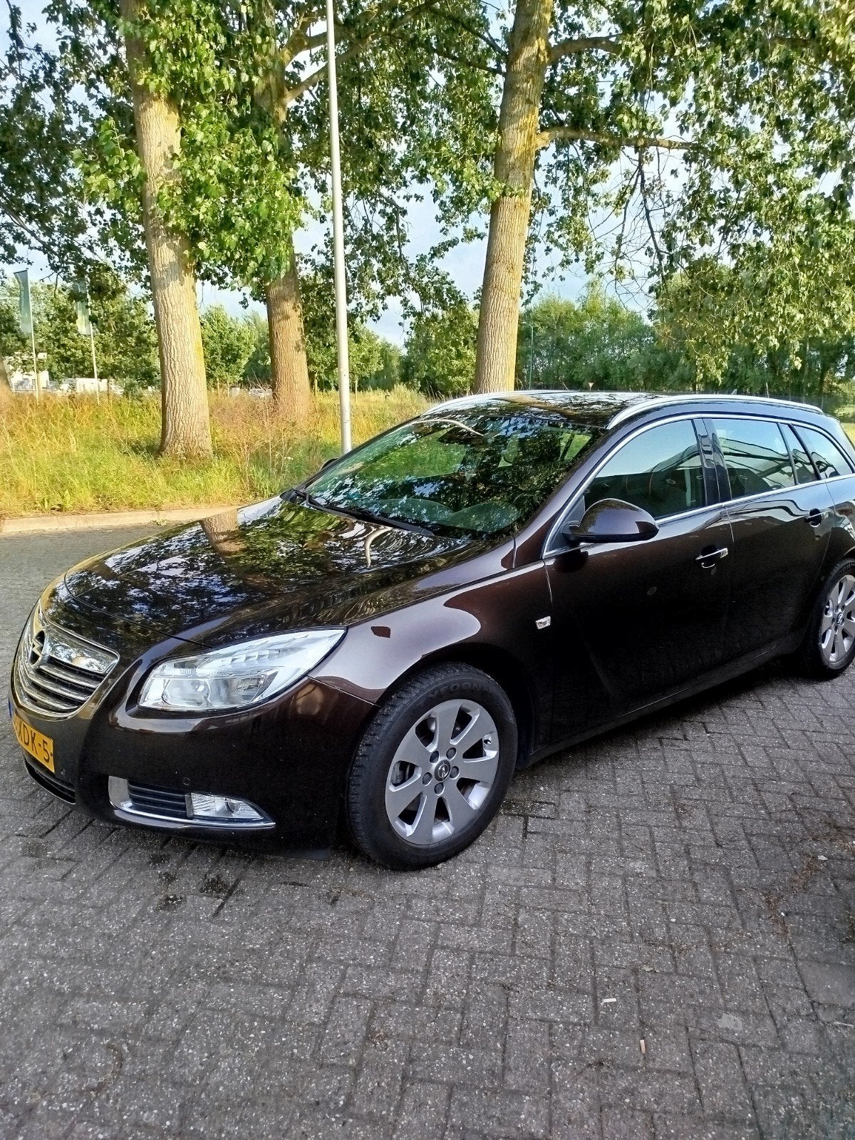 Opel Insignia 1.6 Turbo 132KW Sports Tourer 2012 Bruin, Auto's, 4 cilinders, Bruin, 179 pk, Handgeschakeld