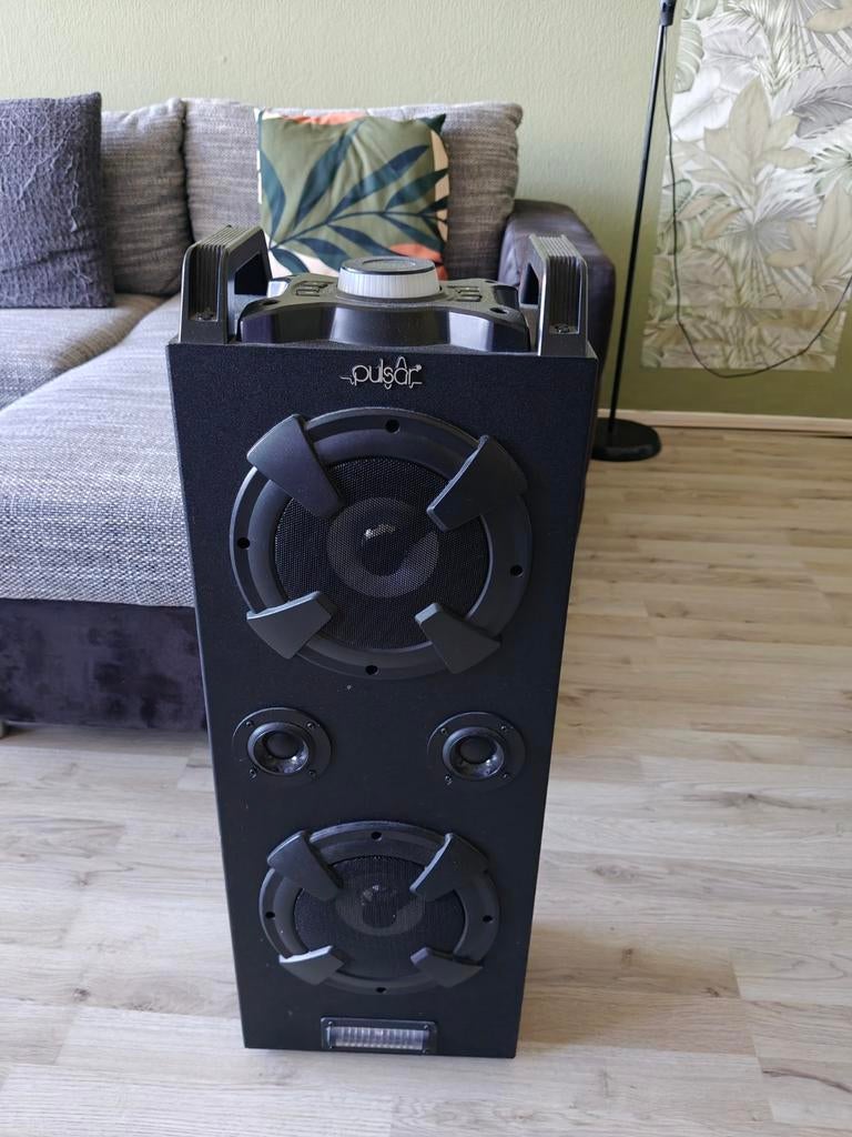 Pulsar Party Speaker met Lichteffecten, Gebruikt, Overige typen, 60 tot 120 watt, Ophalen