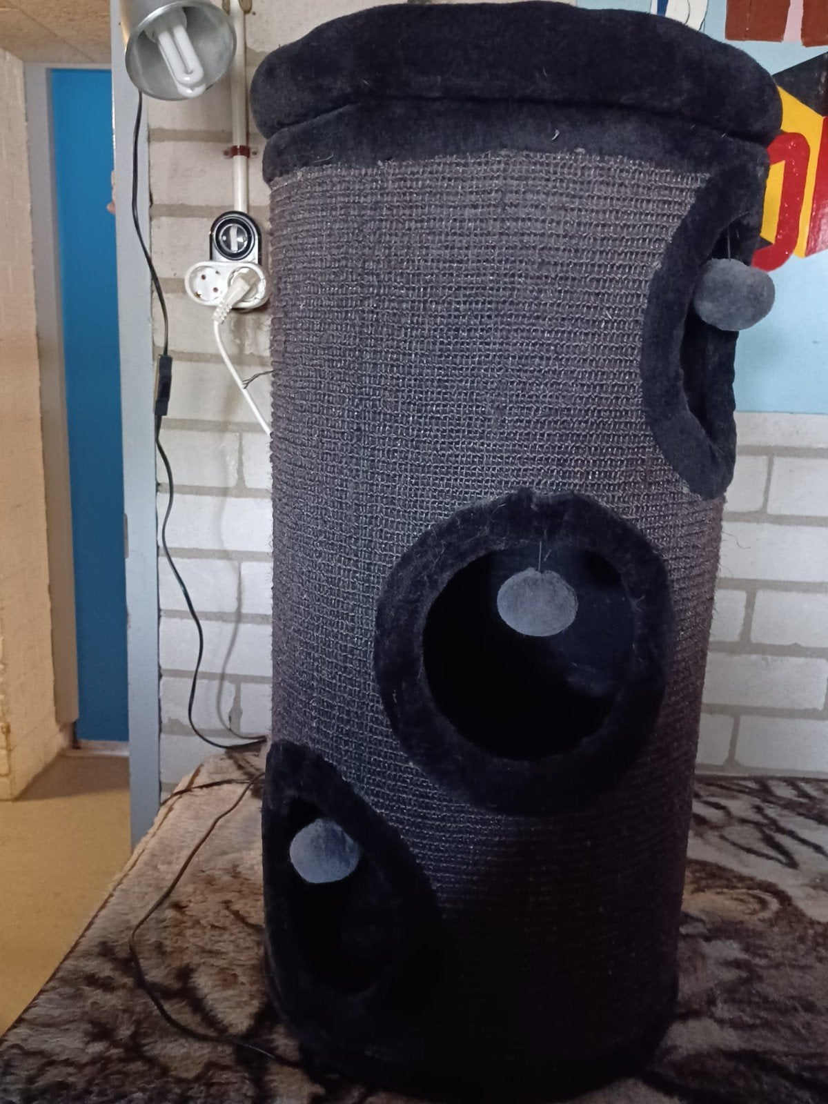 krabton, Dieren en Toebehoren, Ophalen
