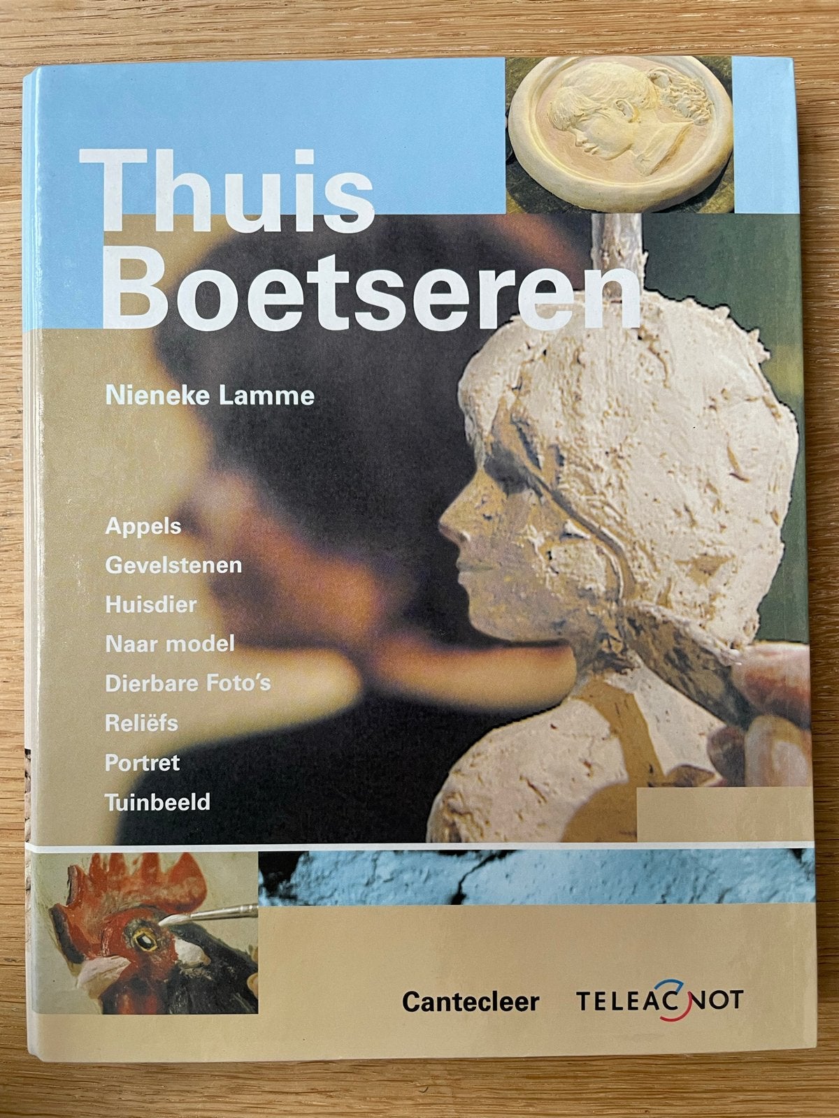 Thuis Boetseren - Nieneke Lamme, Ophalen of Verzenden, Gelezen, Kleien en Boetseren, Geschikt voor kinderen