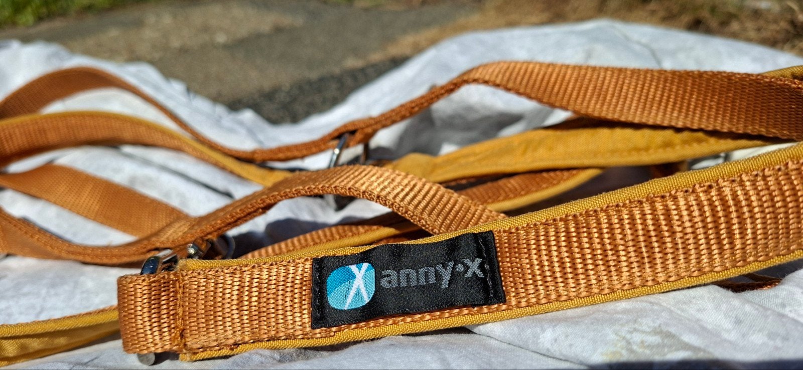 AnnyX riem, Okergeel (Goudlokje), 3m lengte en 2,5cm breed, Ophalen of Verzenden, Zo goed als nieuw, Hondenriem