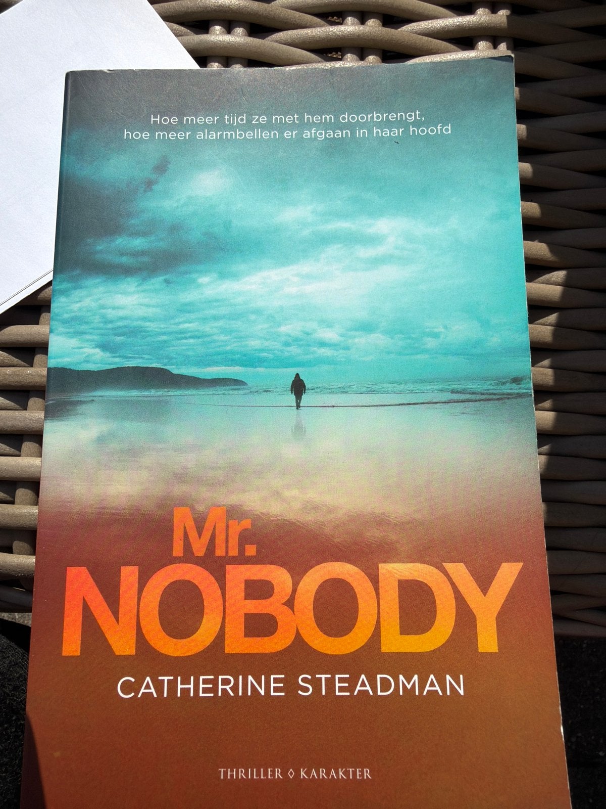 HKO.   Catherine Steadman - Mr. Nobody, Europa overig, Catherine Steadman, Ophalen of Verzenden, Zo goed als nieuw