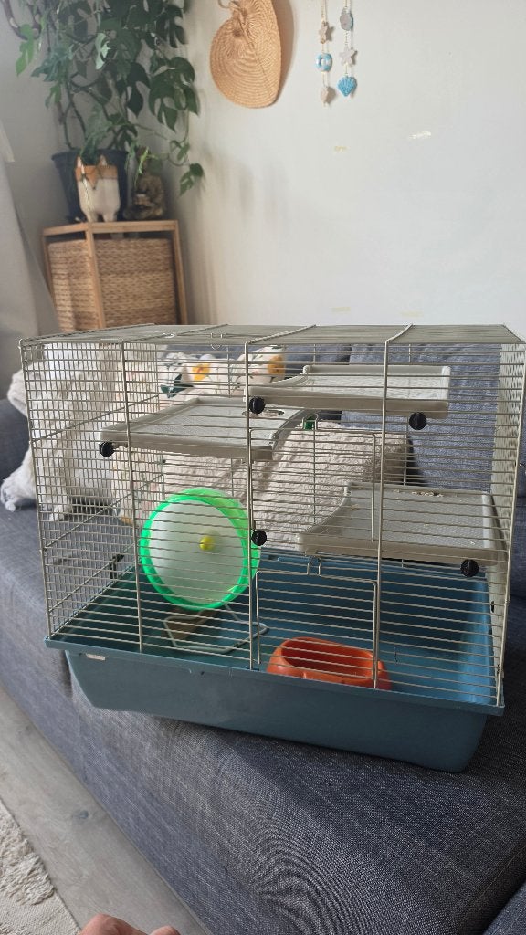 Hamster kooi, Dieren en Toebehoren, Minder dan 60 cm, Kooi, Minder dan 75 cm, Ophalen of Verzenden