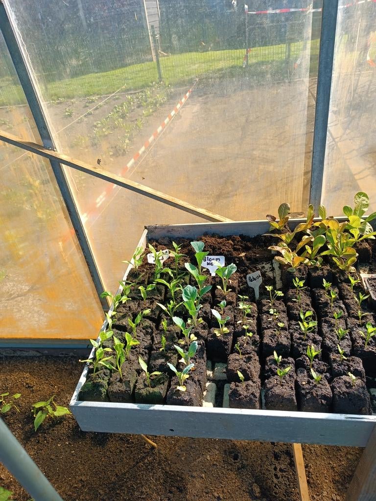 Te koop, Ophalen of Verzenden