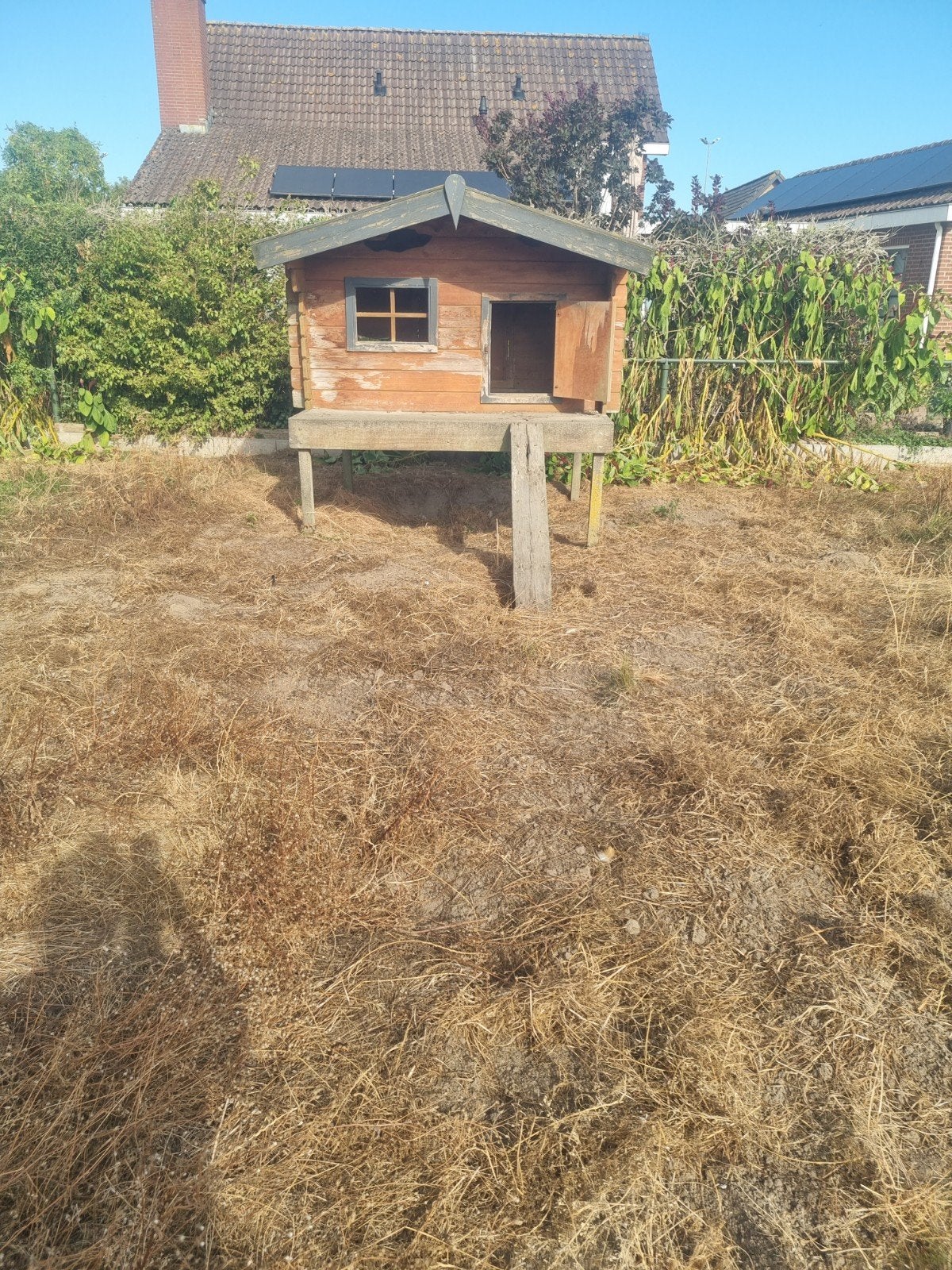 nog leuk geiten(kippenhok), Dieren en Toebehoren, Schapen, Geiten en Varkens, Meerdere dieren, Geit