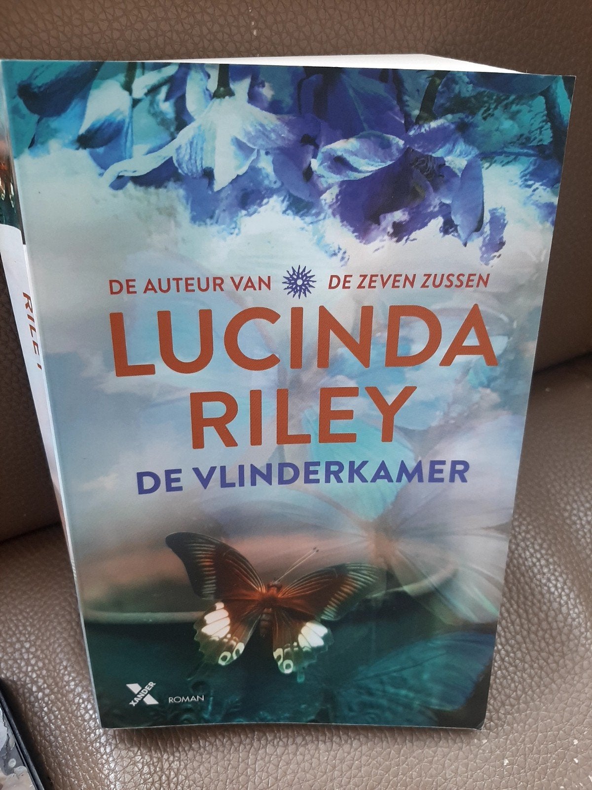 Lucinda Riley - De Vlinderkamer (Roman), Boeken, Romans, Ophalen of Verzenden, Zo goed als nieuw, Lucinda Riley, Nederland