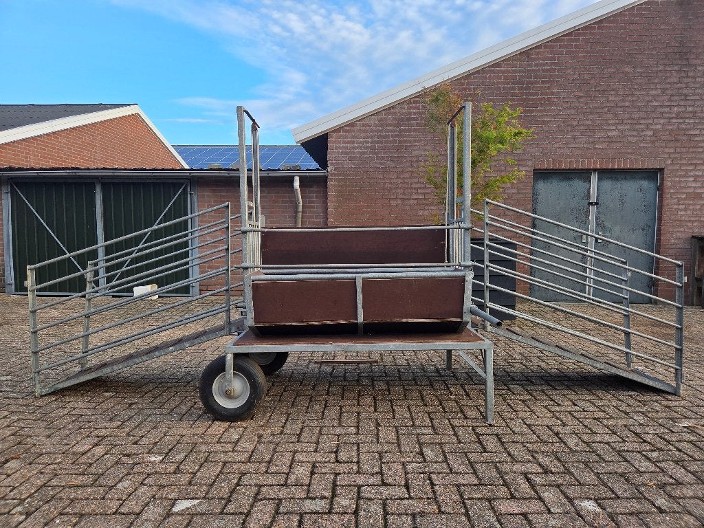behandel/bekapbox schapen, Dieren en Toebehoren, Geslacht onbekend, Schaap, 6 jaar of ouder