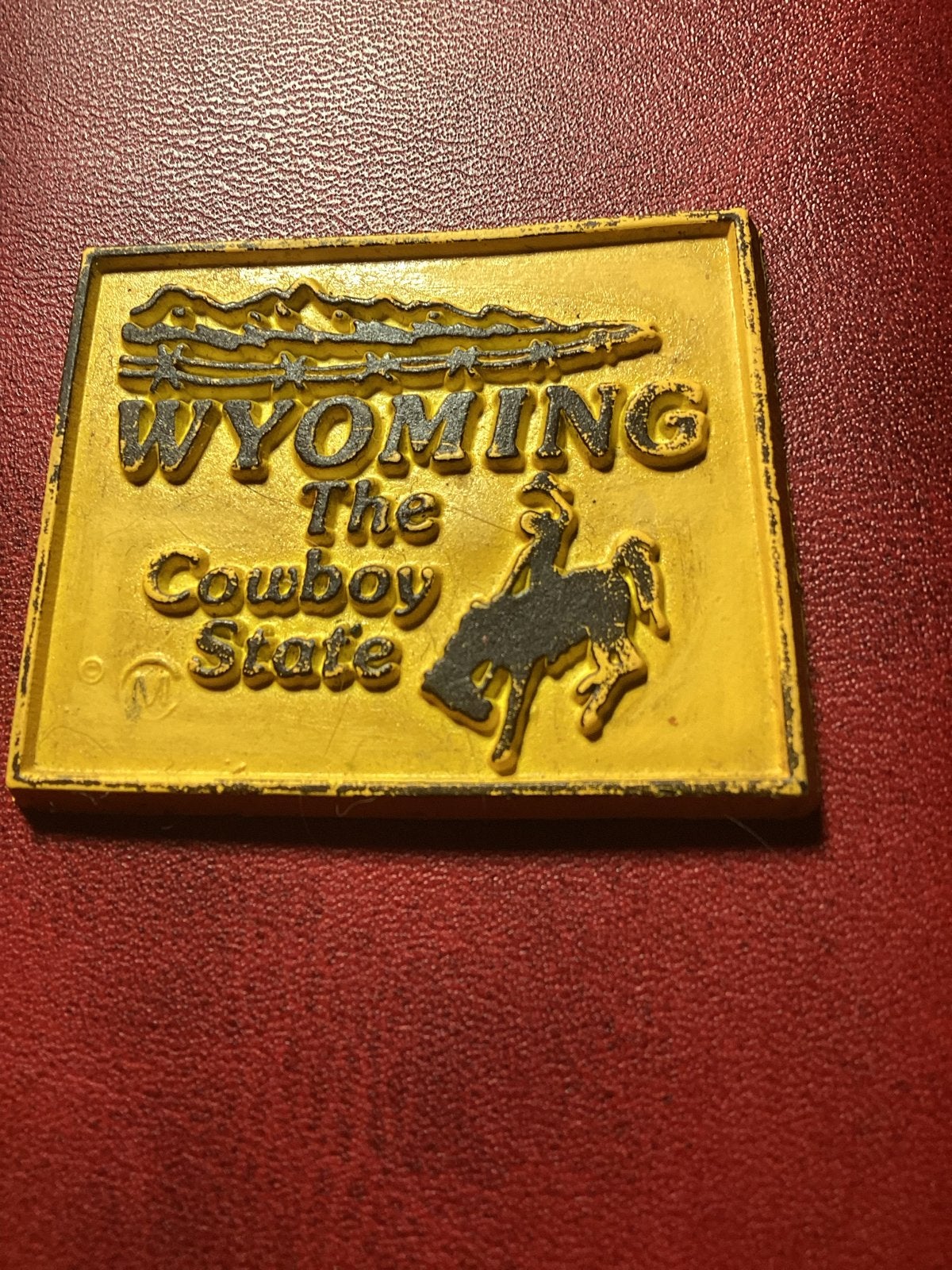 Vintage Koelkastmagneet Wyoming The Cowboy State, Vintage, Gebruikt, Meerkleurig, Kunststof