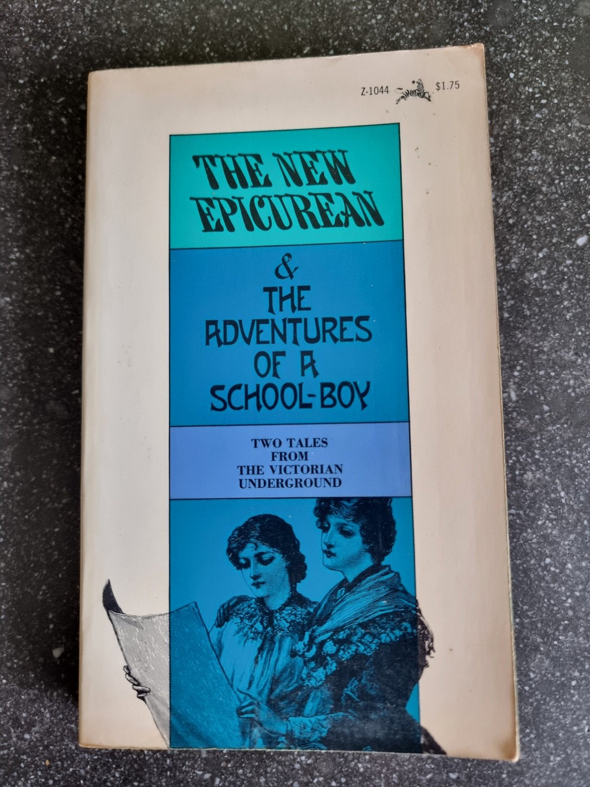The New Epicurean & The Adventures of a School-Boy, Boeken, Verzenden, Gelezen, Anoniem (Captain Edward Sellon), Amerika
