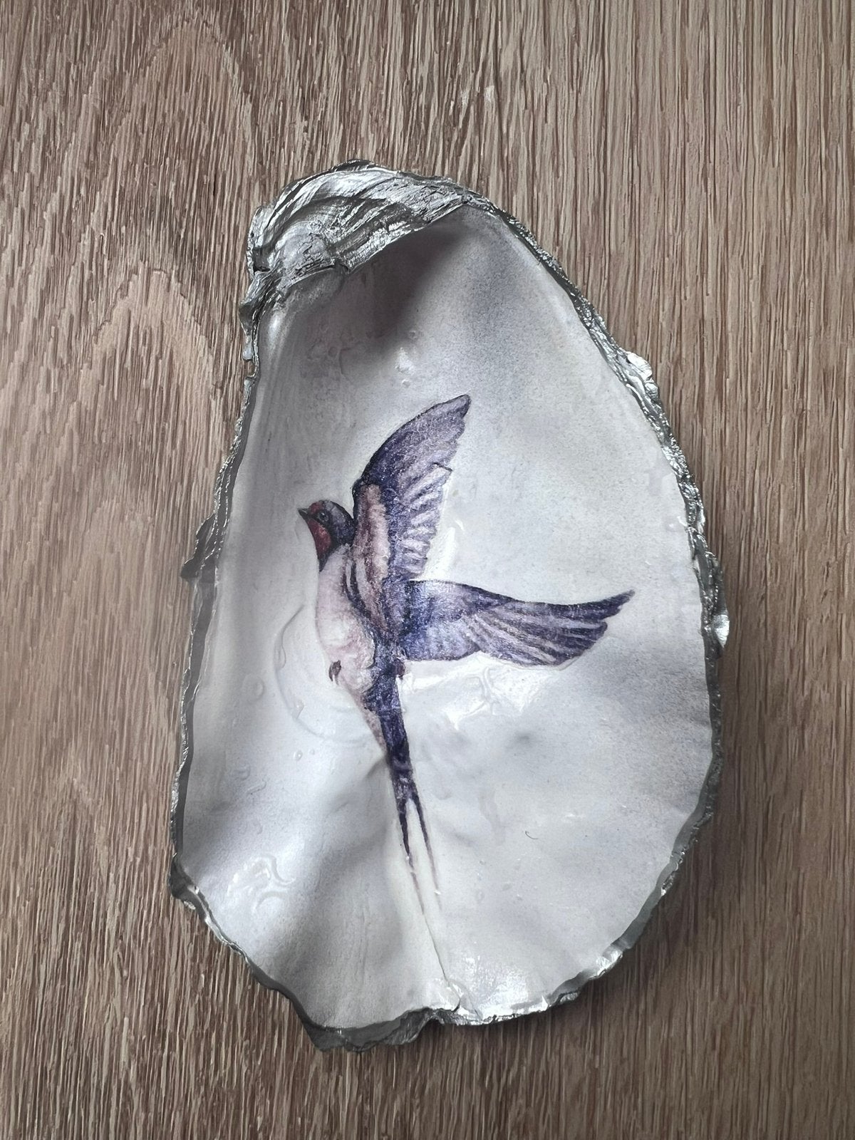 Oesterschelp met zwaluw zilver, Ophalen of Verzenden, Schelp(en)