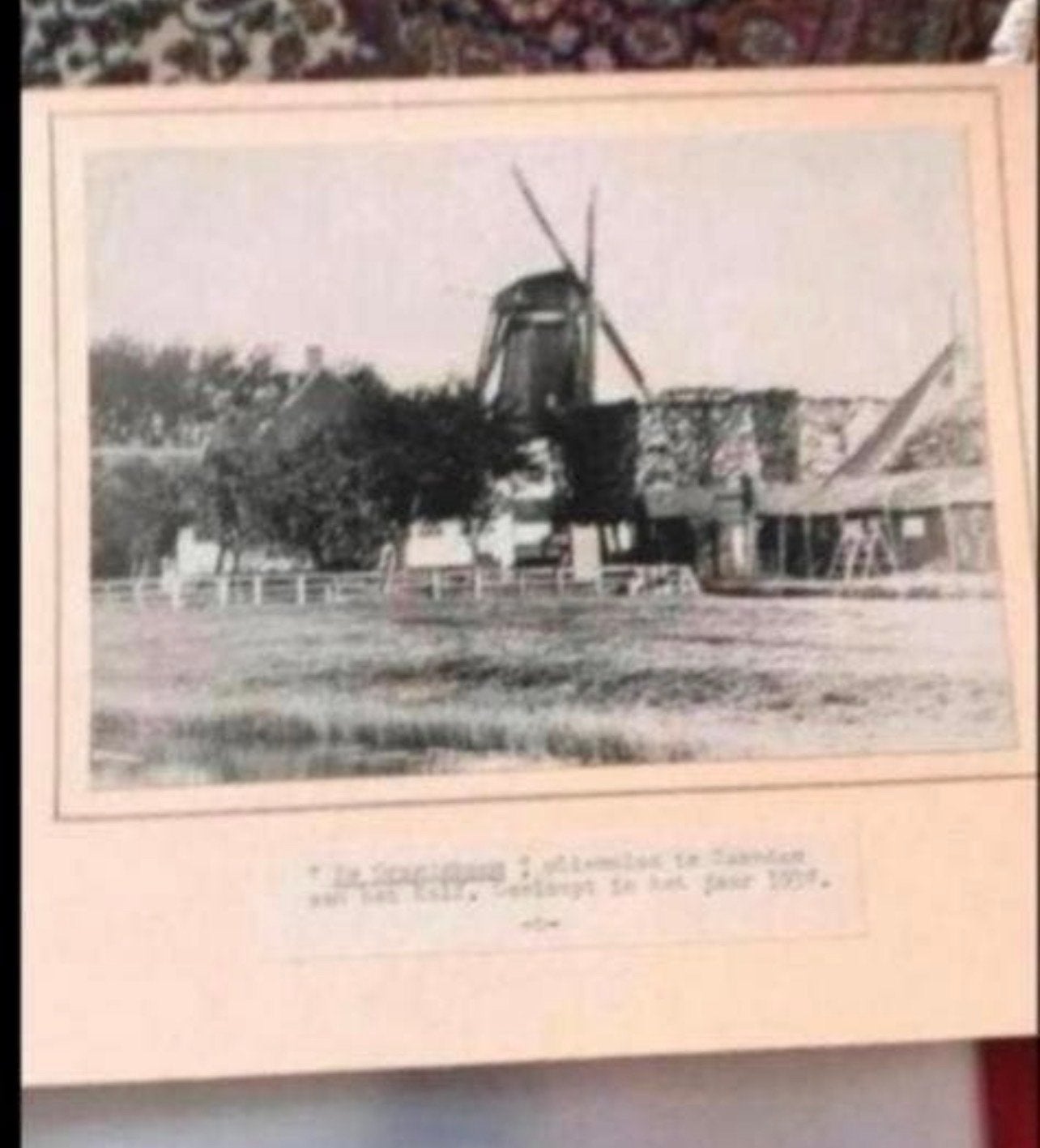 Oude foto Oliemolen De Oranjeboom Zaandam, gesloopt 1938, Verzamelen, Foto's en Prenten, Gebruikt, Foto, Gebouw, Voor 1940, Ophalen of Verzenden