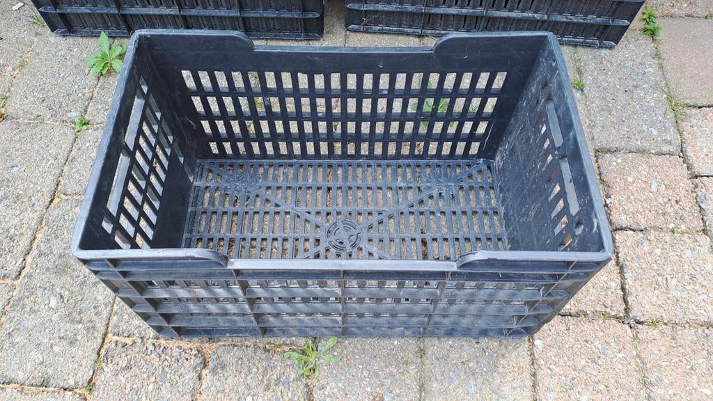 54 AGF kratten 50x30x25 cm - Ideaal voor opslag, Ophalen, Gebruikt, 50 tot 75 cm, Minder dan 35 cm