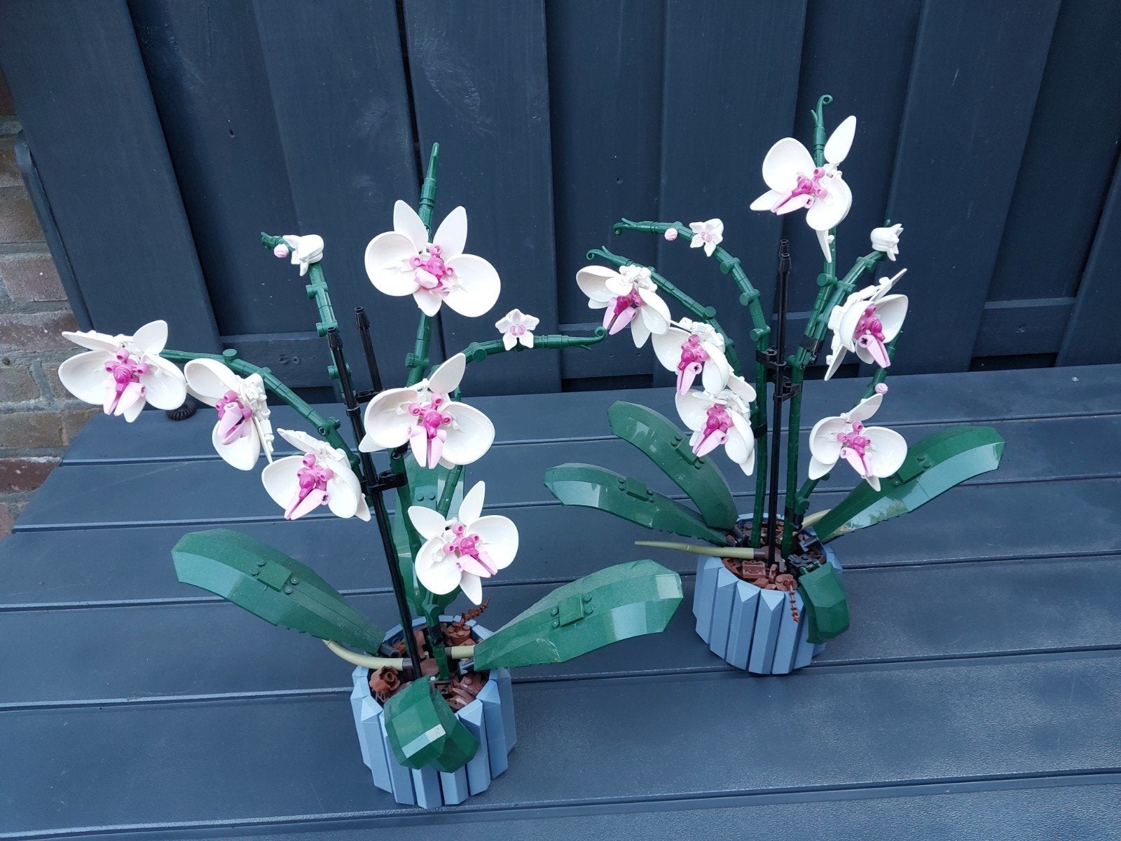 lego  bloemen  50 euro, Ophalen of Verzenden