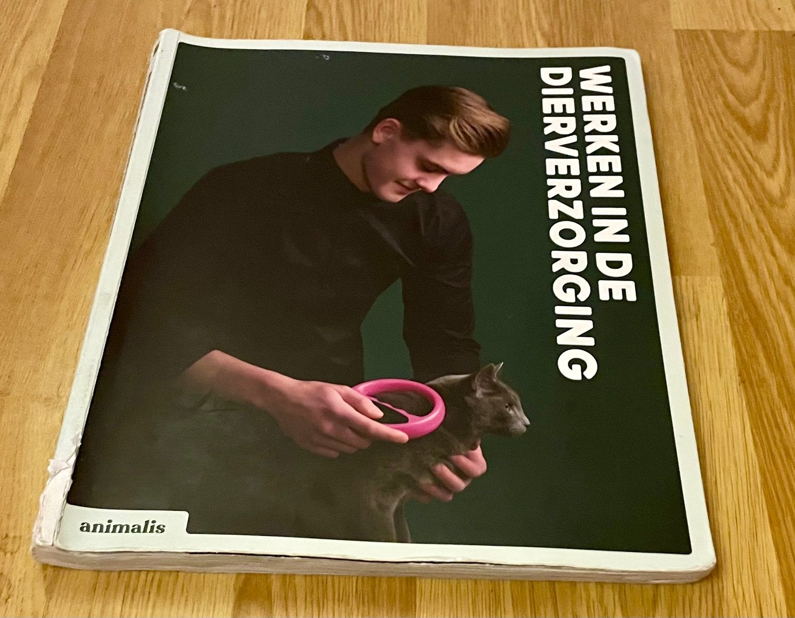 Studieboek animalis werken in de dierenverzorging, Boeken, Ophalen of Verzenden, Alpha, MBO