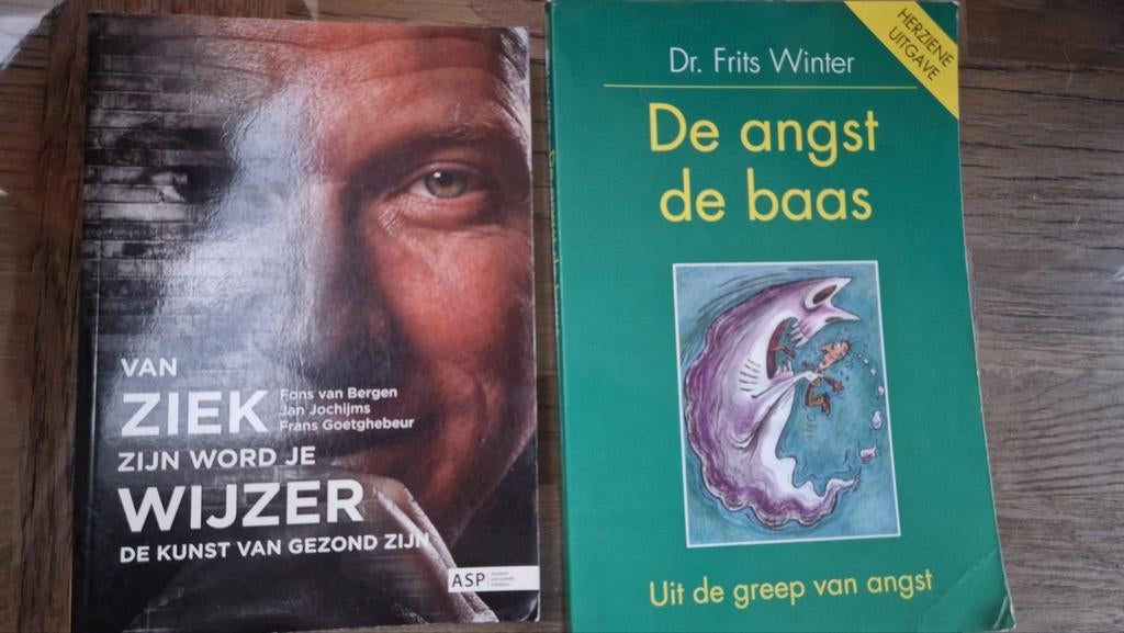 De angst de baas & Van ziek zijn word je wijzer, Ophalen of Verzenden, Gelezen, Gezondheid en Conditie
