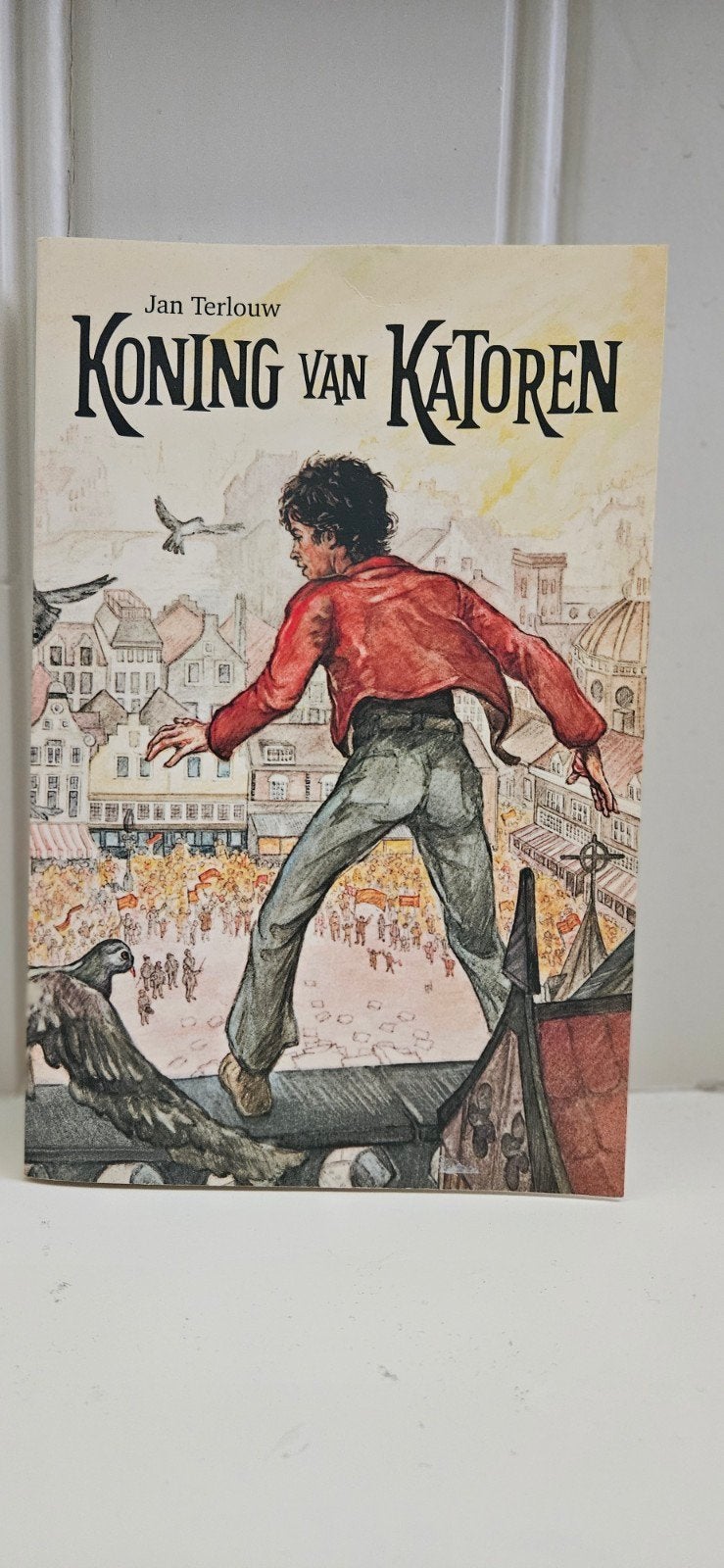 Jan Terlouw - Koning van Katoren, Ophalen of Verzenden, Zo goed als nieuw, Jan Terlouw