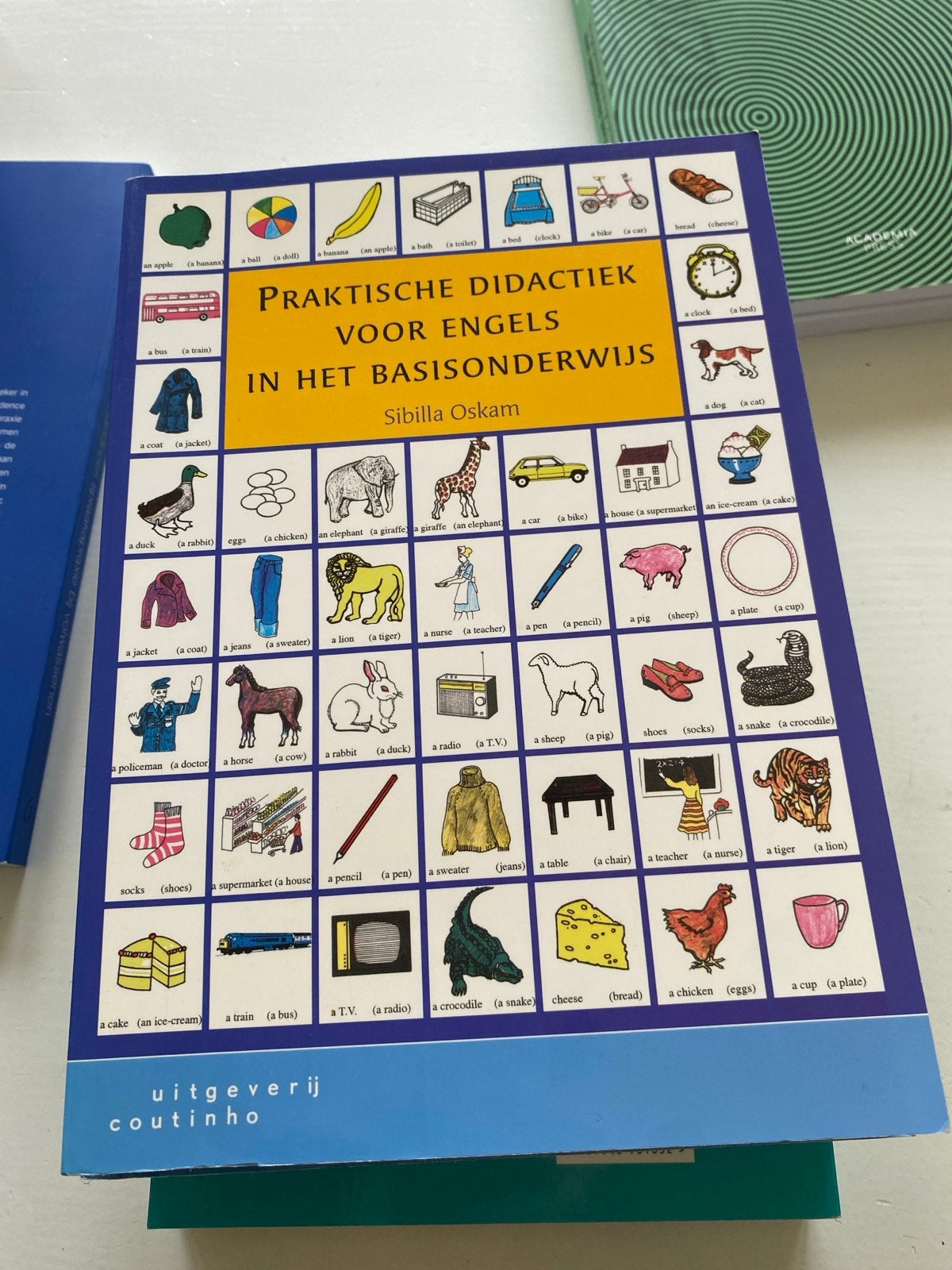 Praktische didactiek voor Engels in het basisonderwijs, Ophalen of Verzenden, Zo goed als nieuw, Non-fictie