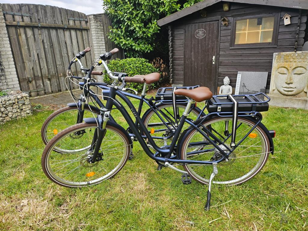 Dames + heren elektrische fietsen Elops 900 Decathlon, Fietsen en Brommers, Elektrische fietsen, Ophalen, Zo goed als nieuw, Overige merken