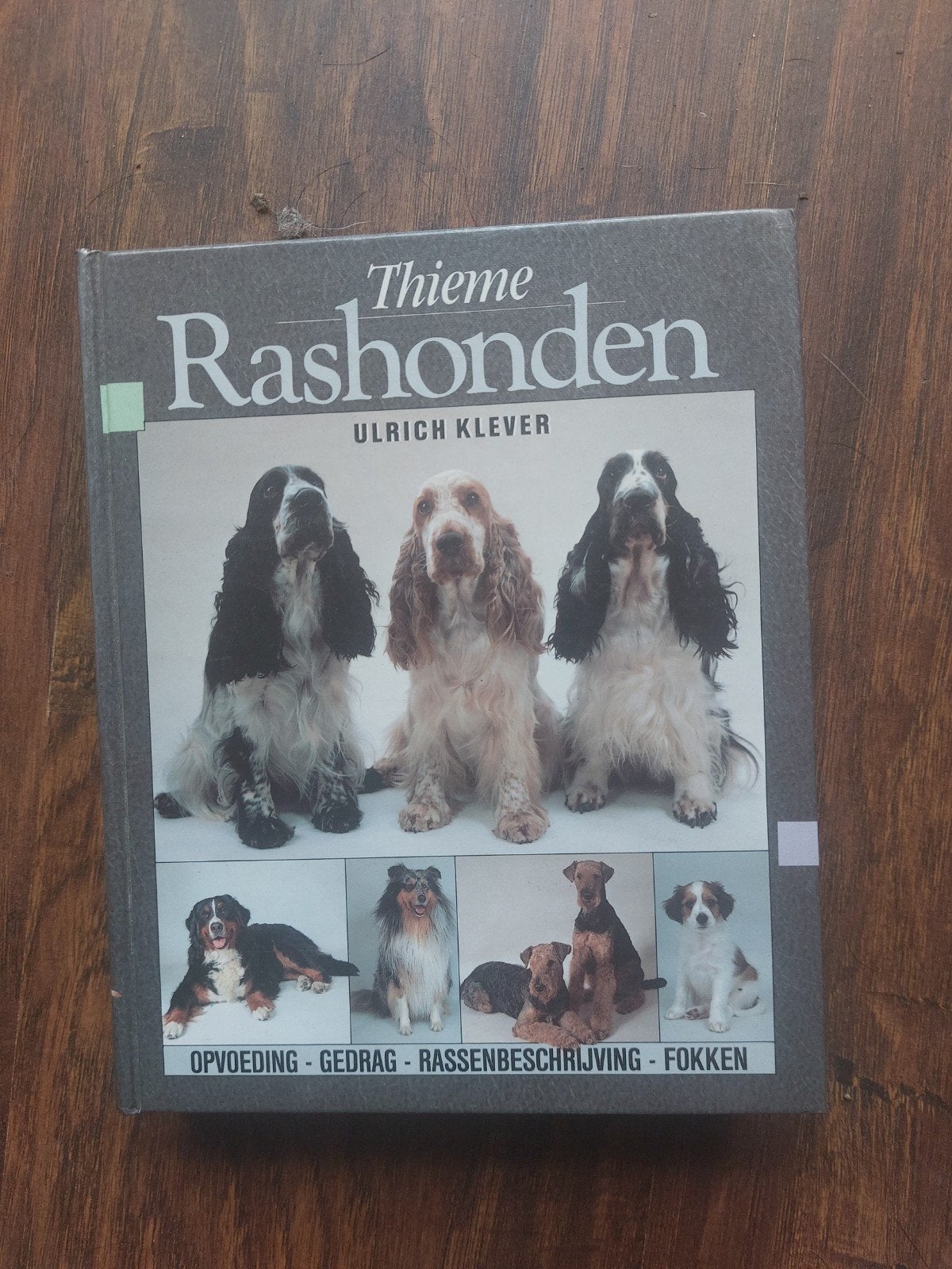 Thieme Rashonden - Ulrich Klever (Hondenboek), Ophalen of Verzenden, Zo goed als nieuw, Honden, Ulrich Klever