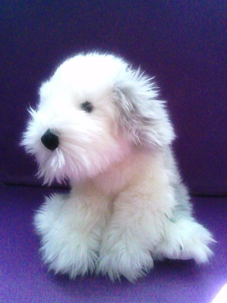 LELLY Knuffel HOND PUPPY **Nieuw**, Nieuw, Met label, Middelgroot (20 tot 80 cm), Hond