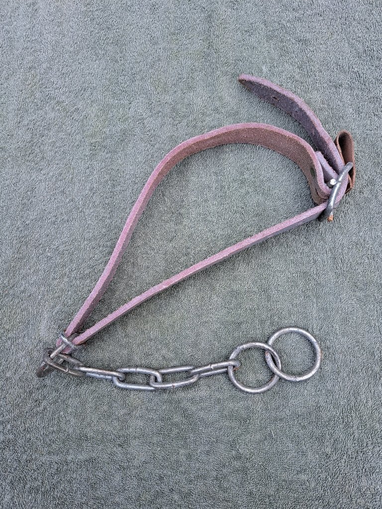 Dieren halsband schaap geit etc, Maat 38/40 (M), Bruin, Ophalen of Verzenden, Onbekend