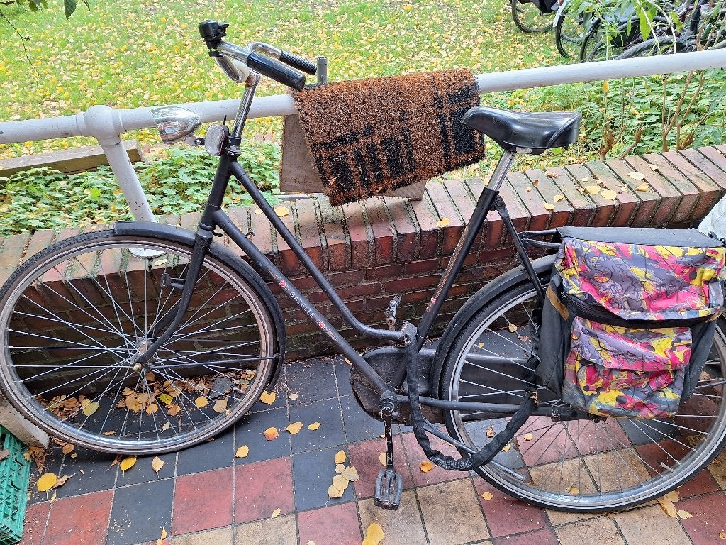 Dames fiets, Ophalen, Terugtraprem, Gebruikt, 47 tot 50 cm