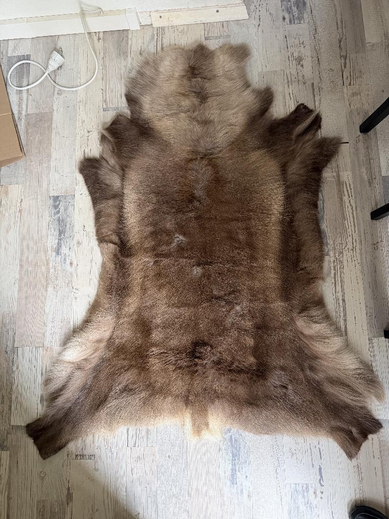 Noorse rendierhuid - Granberg Garveri Norway, 100 tot 150 cm, Nieuw, Bruin, Rechthoekig