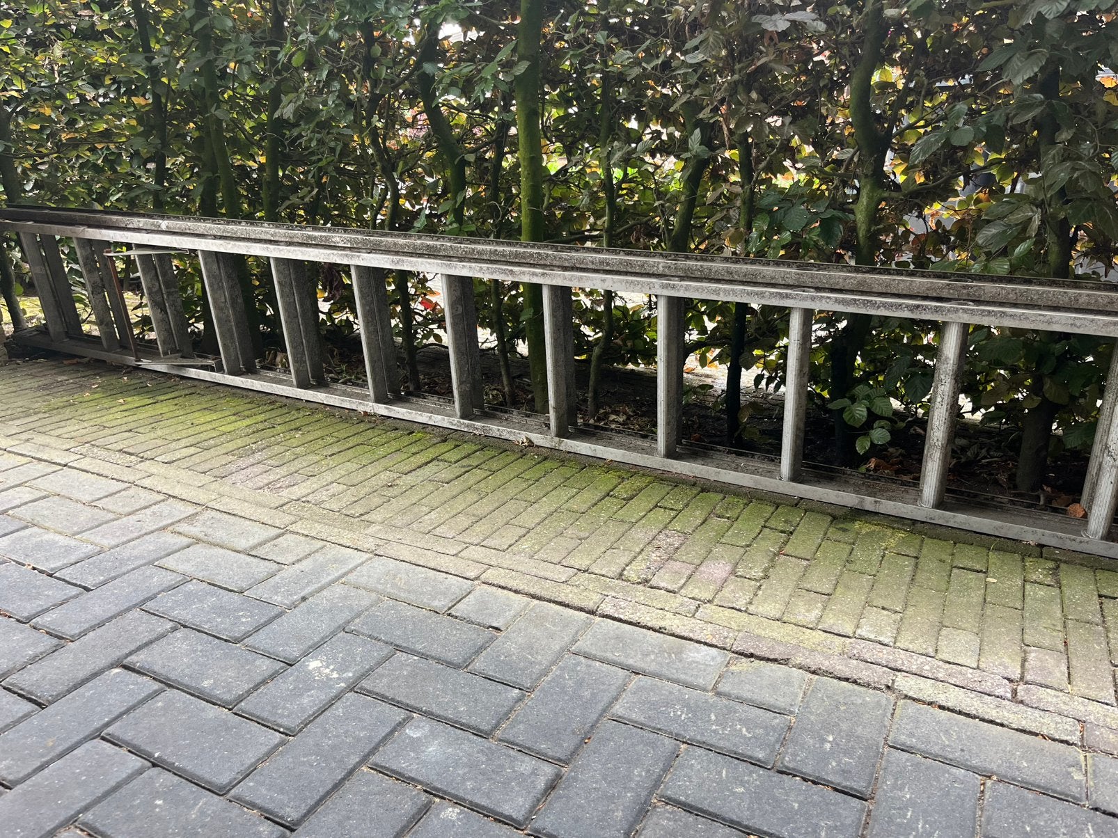 Altrex ladder, Ophalen, Gebruikt, Ladder, Opvouwbaar of Inschuifbaar
