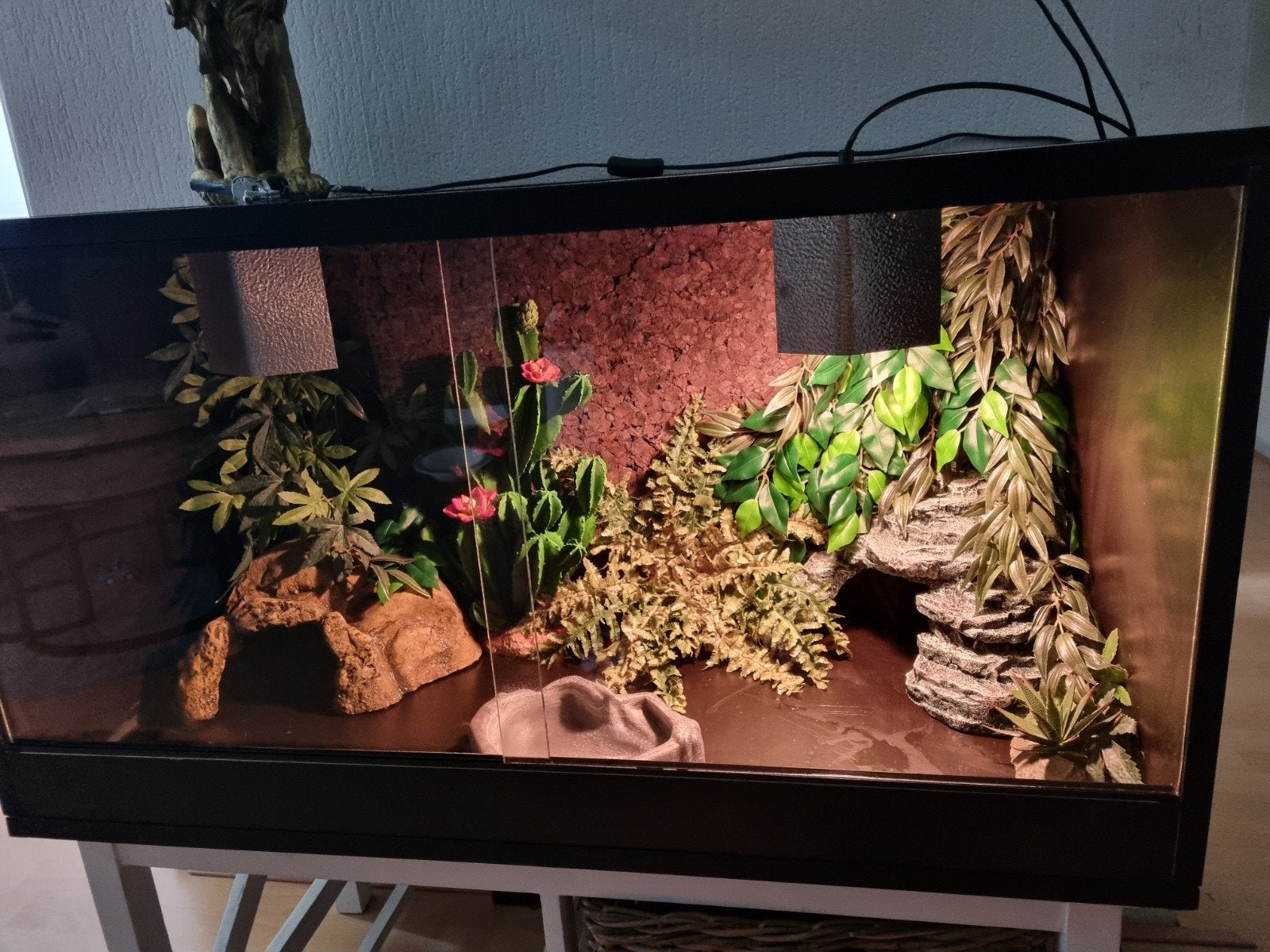 terrarium betonplex 100x50x50, Ophalen