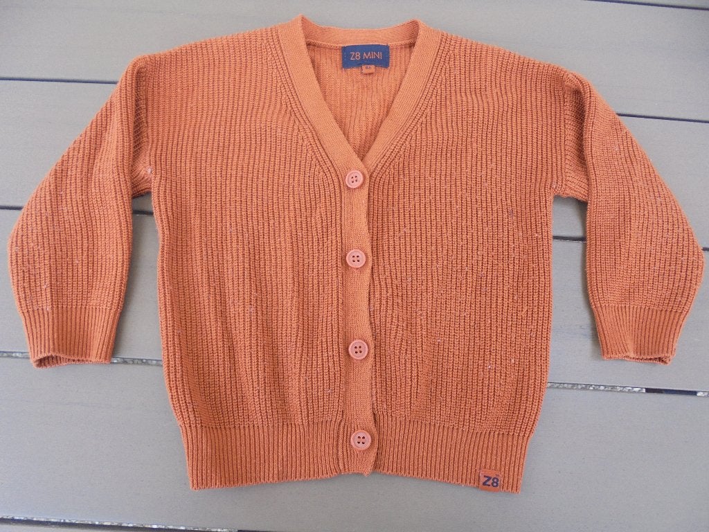 Bruin vestje Z8, Kinderen en Baby's, Truitje of Vestje, Z8, Ophalen of Verzenden, Zo goed als nieuw