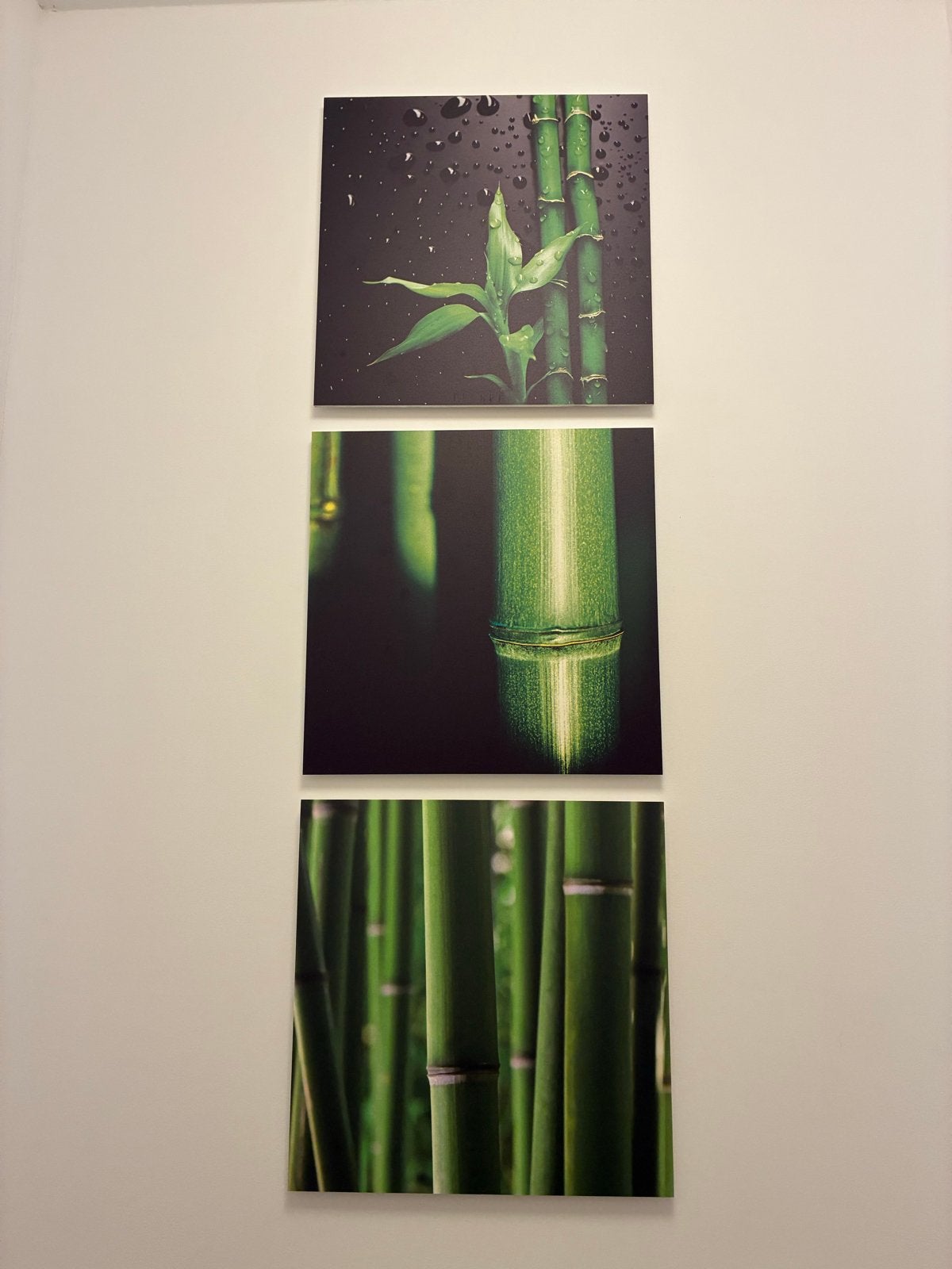 Set van 3 bamboe wanddecoraties - Bamboe, Groen, Ophalen of Verzenden, Zo goed als nieuw, Wandbord of Wandpaneel